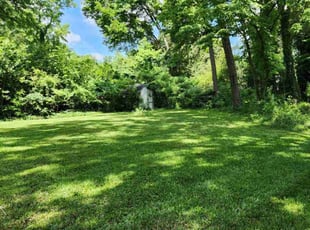 Cassandra B.'s lawn service service result