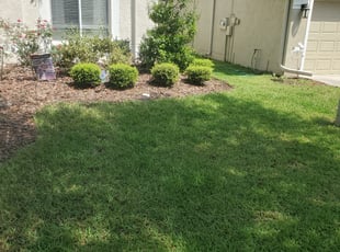 Terry L.'s Leaf Removal service result