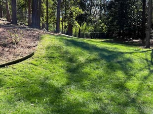 Cd W.'s lawn care service result