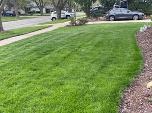 Michelle W.'s lawn maintenance service result