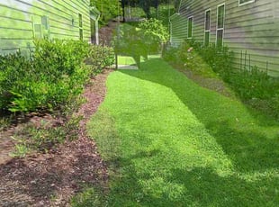 Lure A.'s grass maintenance service result