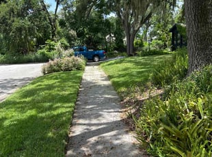 Bryan D.'s turf care service result