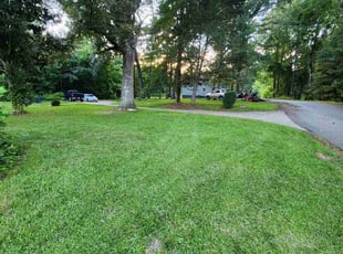 Nikeisha Y.'s turf maintenance service result
