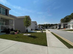 Shannon H.'s lawn care services service result