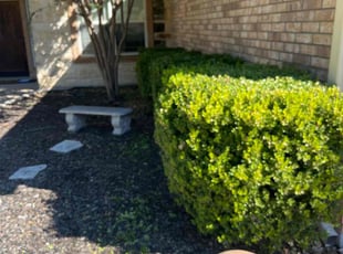 Cherry L.'s lawn maintenance service result