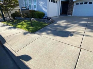 Debi B.'s lawn care service result