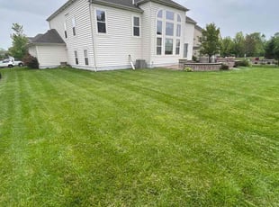 Mary A.'s grass cutting service result