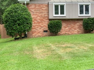 Aung A.'s Bush Trimming service result