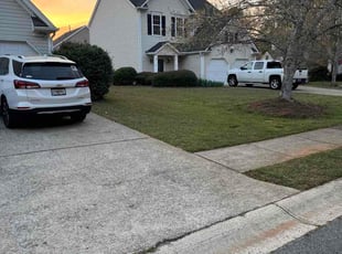 Mike B.'s turf maintenance service result
