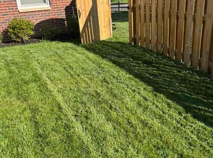 Aaron R.'s turf care service result