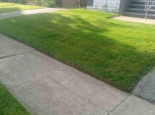 Debra J.'s turf care service result