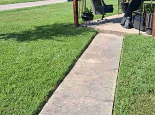 Neely D.'s grass maintenance service result