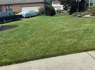 Tanya H.'s lawn maintenance service result