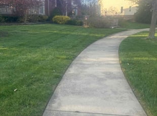 Denise D.'s turf care service result