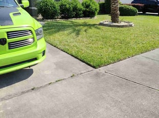 Chris S.'s lawn service service result