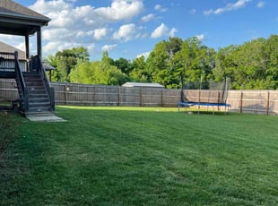 Nashae H.'s lawn care services service result