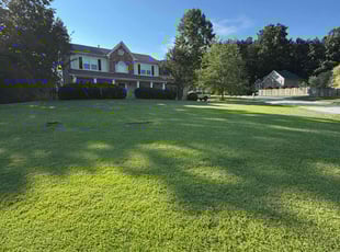 Michael R.'s turf care service result