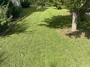 Sheila M.'s lawn care services service result