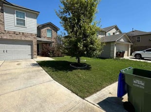 Albi K.'s turf maintenance service result