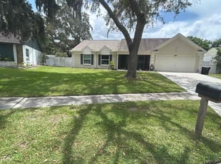 Jack R.'s turf maintenance service result