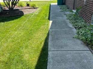 Zoryana H.'s grass cutting service result