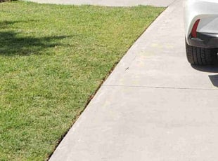 Becky P.'s turf maintenance service result