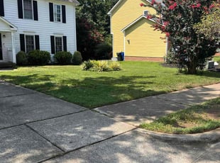 Hanna G.'s lawn care service result