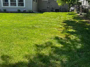 Kellie C.'s grass cutting service result