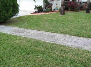 Iliana T.'s lawn care service result