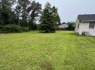 Kaitlyn H.'s lawn service service result