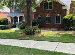 Benjamin L.'s Flower Bed Weeding service result
