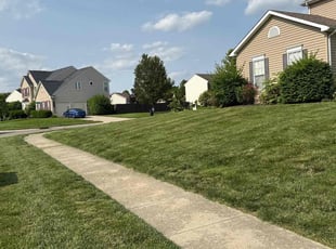 Larissa D.'s grass maintenance service result