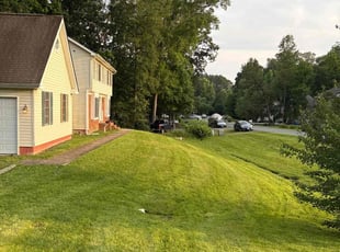 Vincent C.'s grass cutting service result