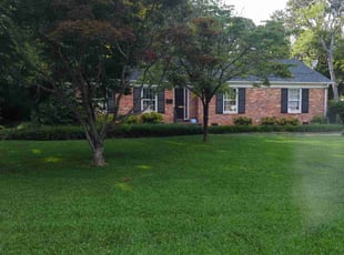 William P.'s grass cutting service result