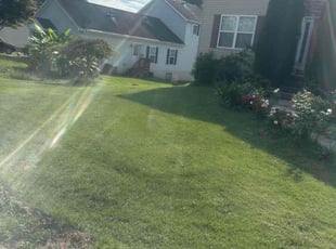 Jacqueline B.'s turf maintenance service result