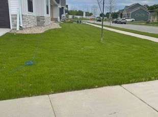 Mariam K.'s lawn service service result