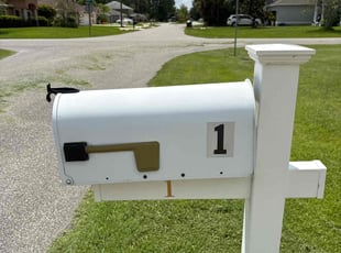 Cathy S.'s grass cutting service result