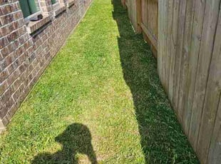 Jason R.'s turf care service result