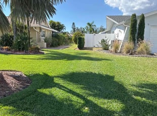 Miriam f.'s turf care service result