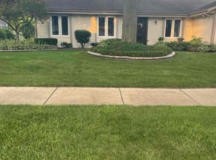 Jim L.'s grass maintenance service result