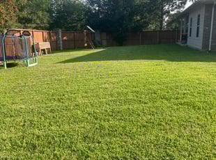 Stacey P.'s turf care service result