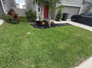 Claudia B.'s lawn care service result
