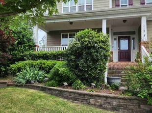 Suzete D.'s Bush Trimming service result