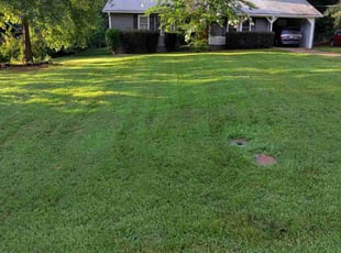 Bridget A.'s turf care service result