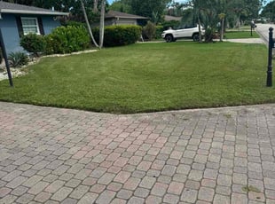 Miguel R.'s lawn service service result