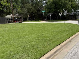 Carole W.'s lawn maintenance service result