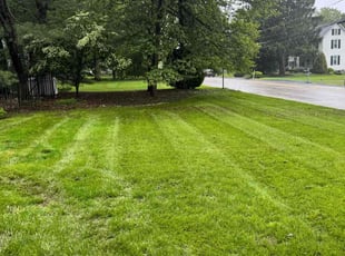 John H.'s lawn care services service result
