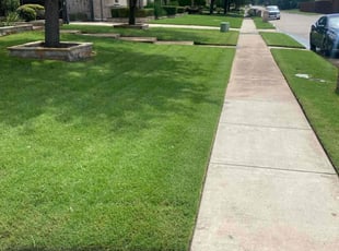 Lisa S.'s grass maintenance service result