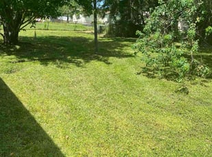 Lisa M.'s turf maintenance service result