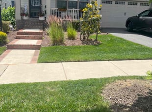 Karen M.'s lawn service service result